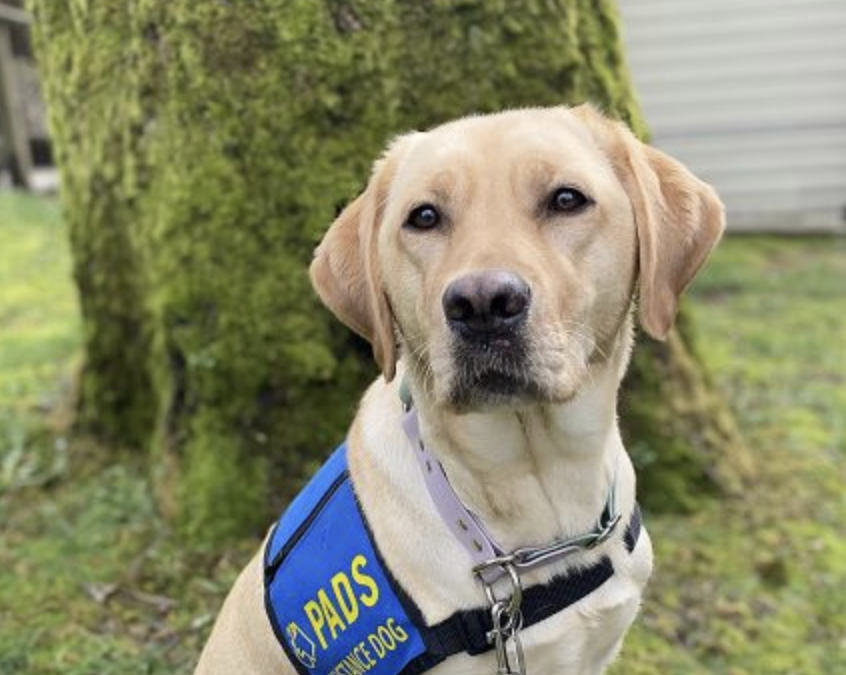 Senior Manager, Service Dog Programs |  Accepting Applications